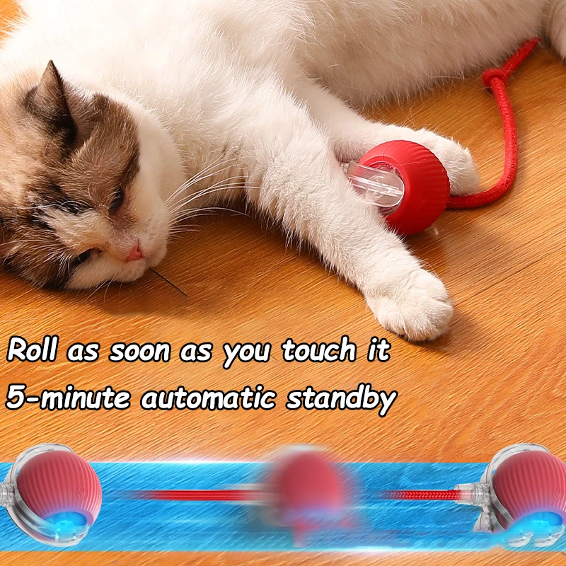 Cat Rolling Ball Toy Pet Supplies - view 5