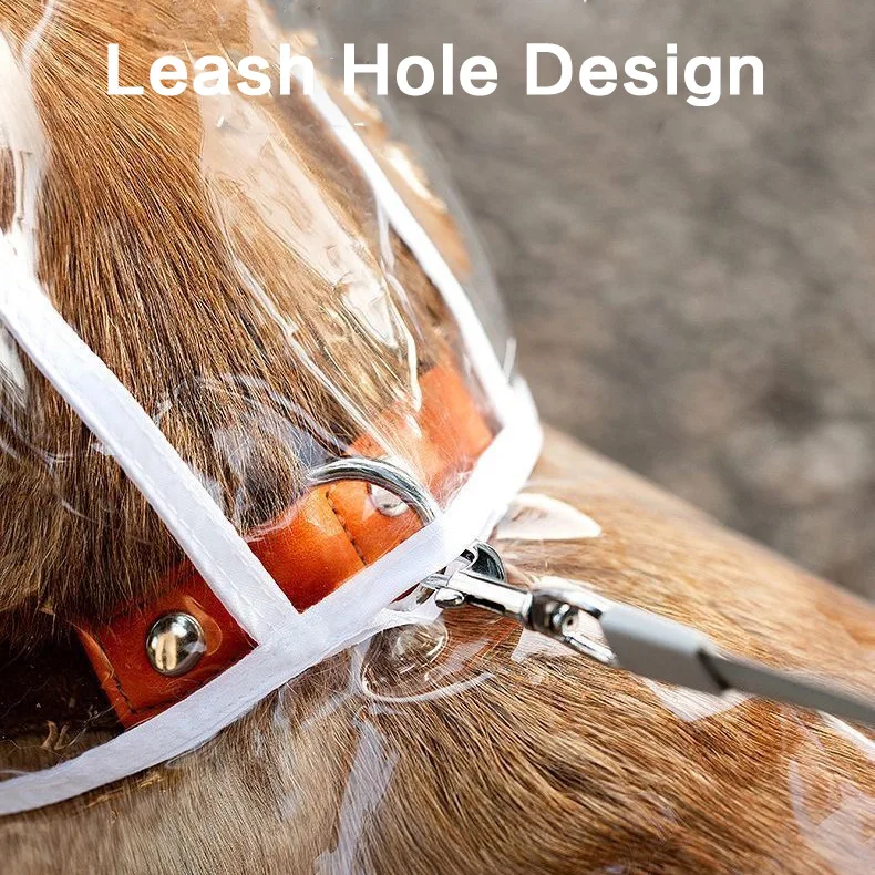 Transparent Dog Raincoat Pet Supplies - view 4