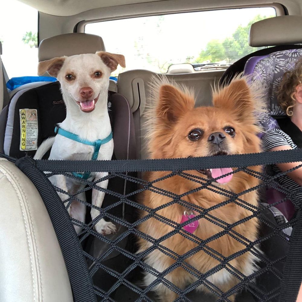 Dog Car Safety Net — angle 4, free shipping at JEHORIZON