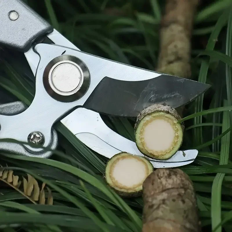 Bird Beak Pruning Scissors - view 4