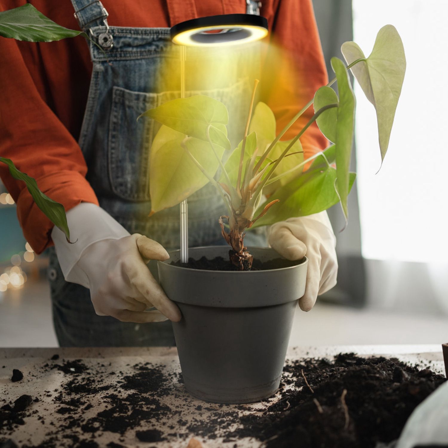 LED Plant Grow Light with Timer and Dimmer - variant view 9