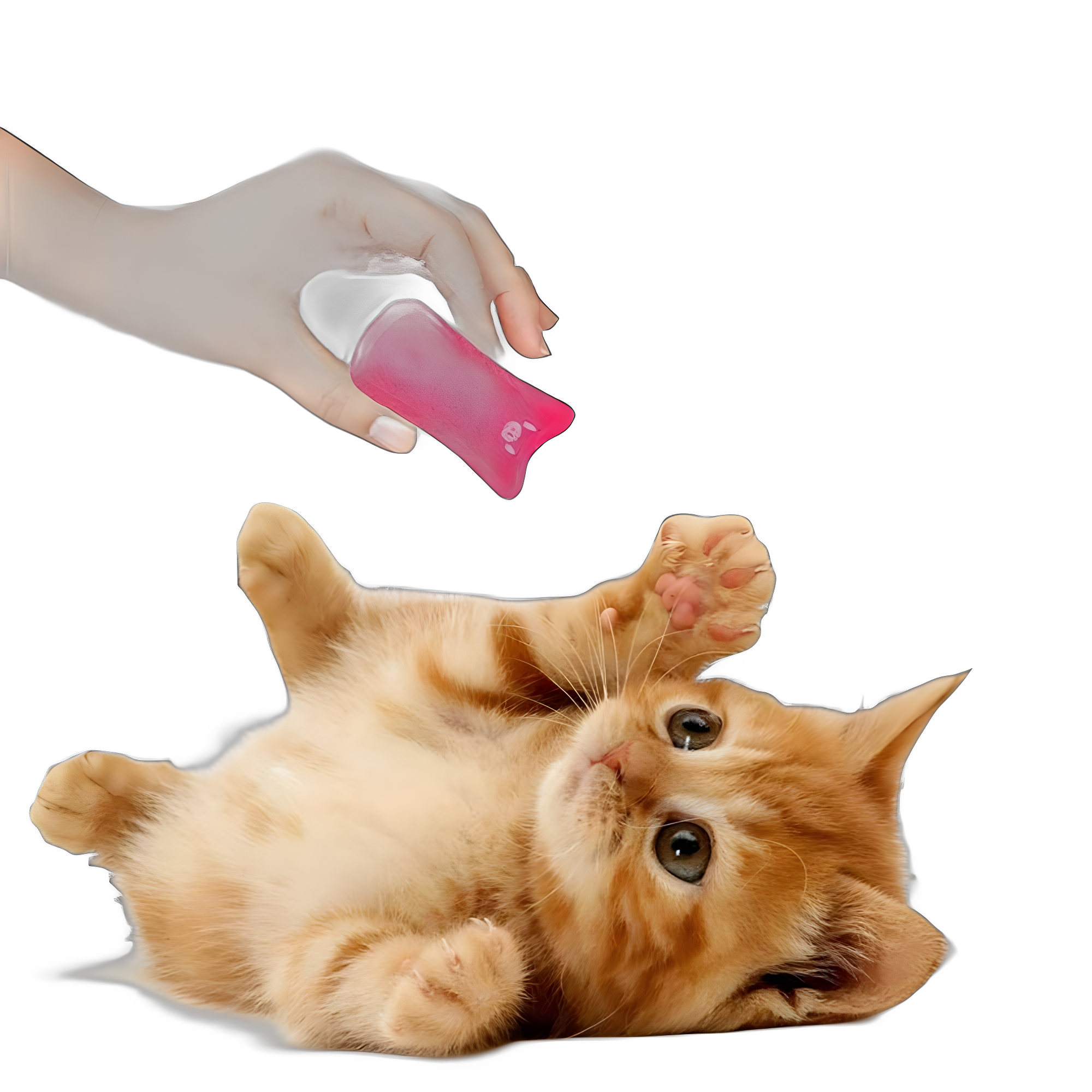 Interactive Funny Catnip Plush Toys — angle 2, free shipping at JEHORIZON