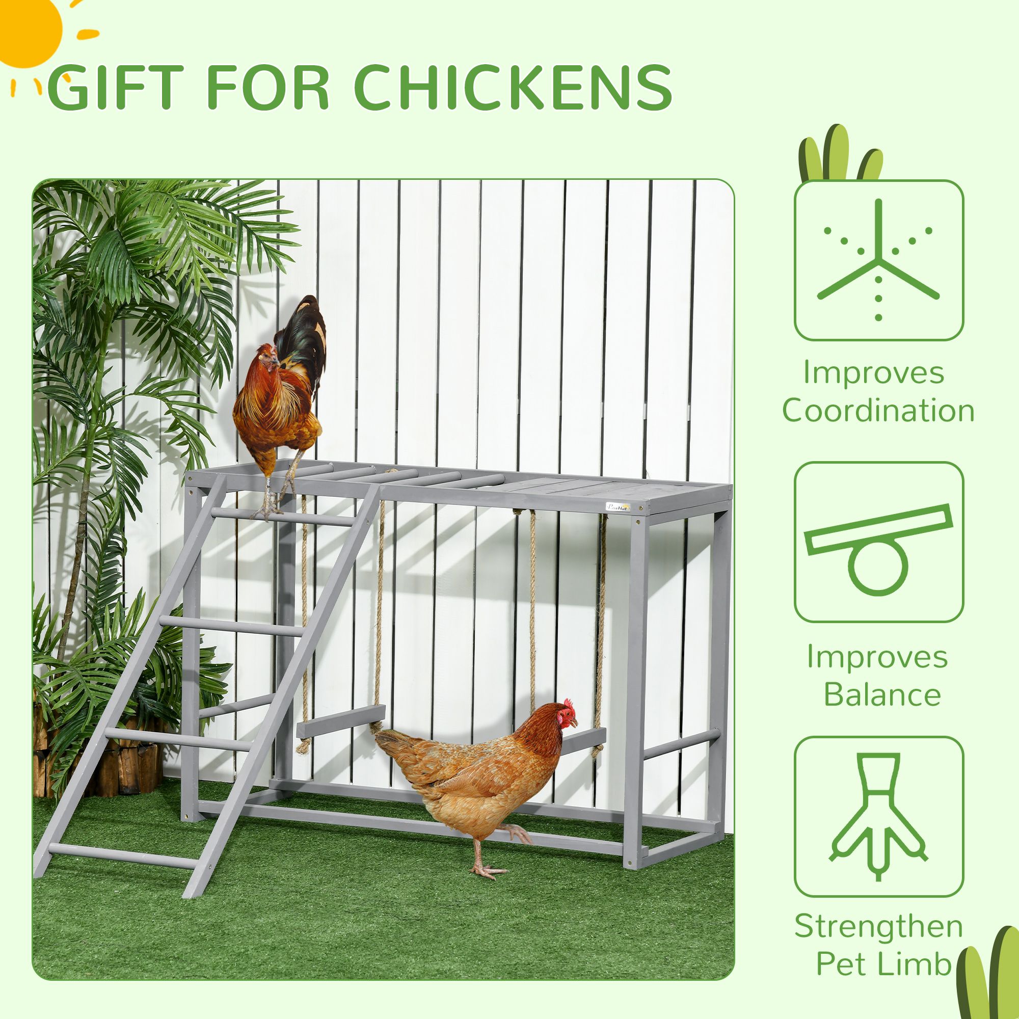 Chicken Activity Center & Swing - variant view 8