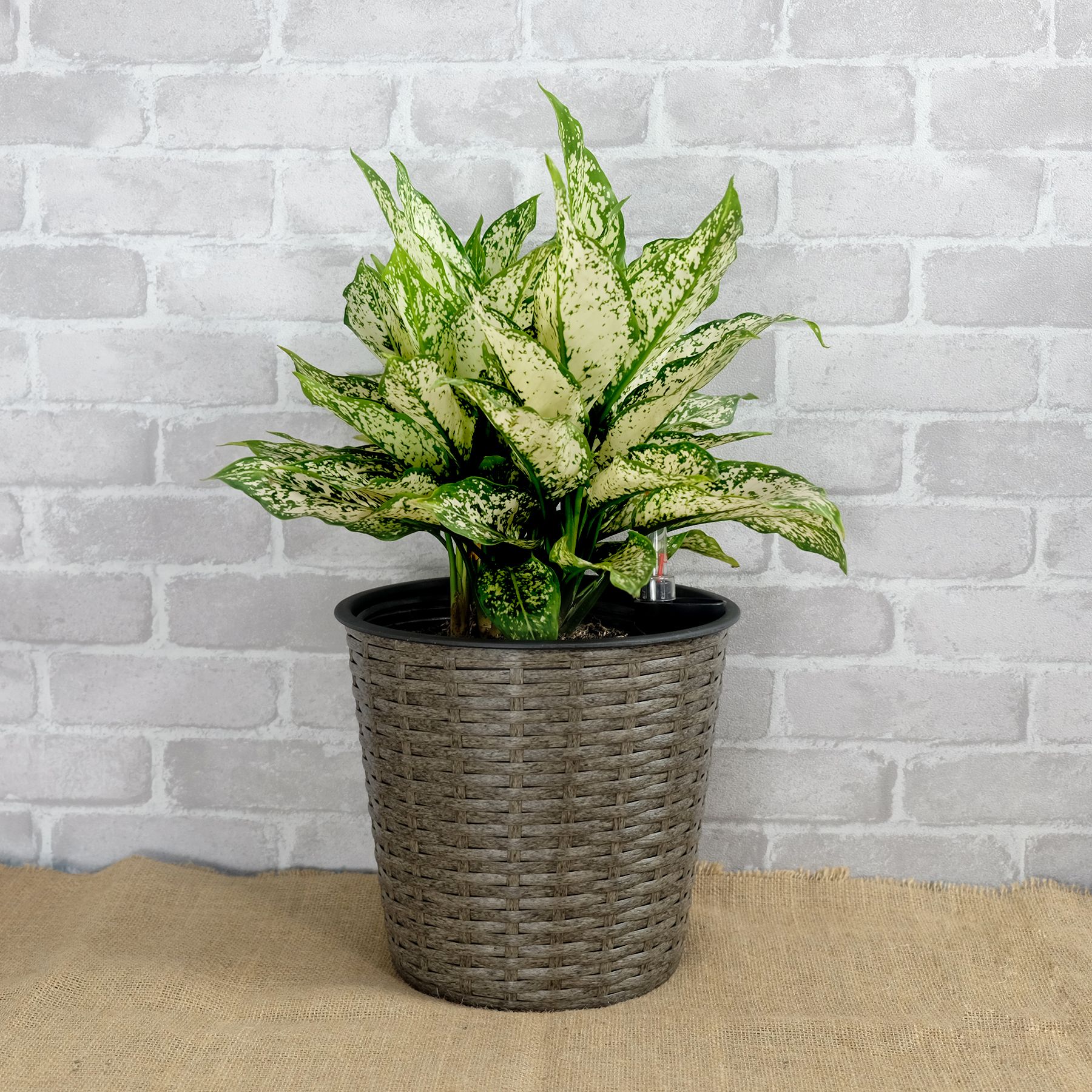 Grey Round Self-Watering Wicker Planter - variant view 4
