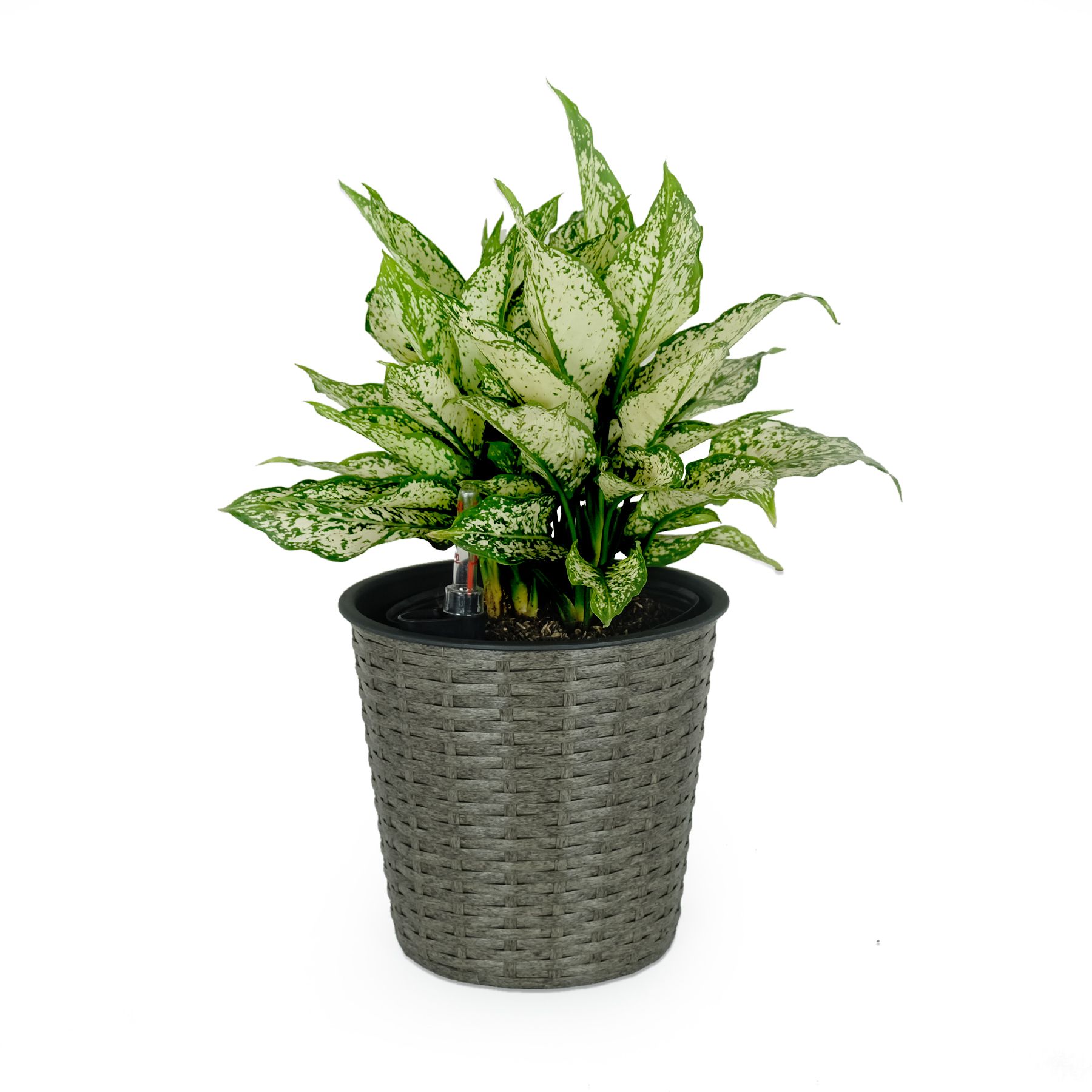 Grey Round Self-Watering Wicker Planter - variant view 3