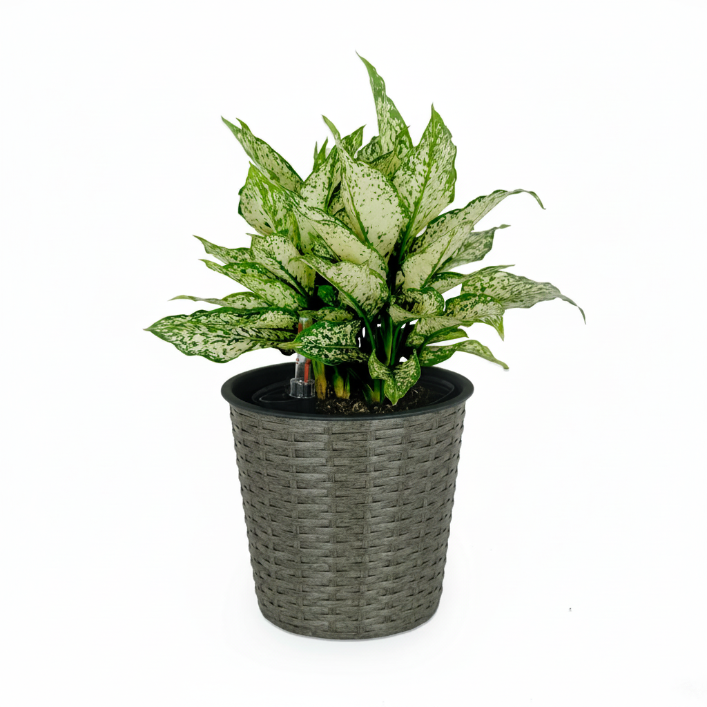Grey Round Self-Watering Wicker Planter - variant view 2