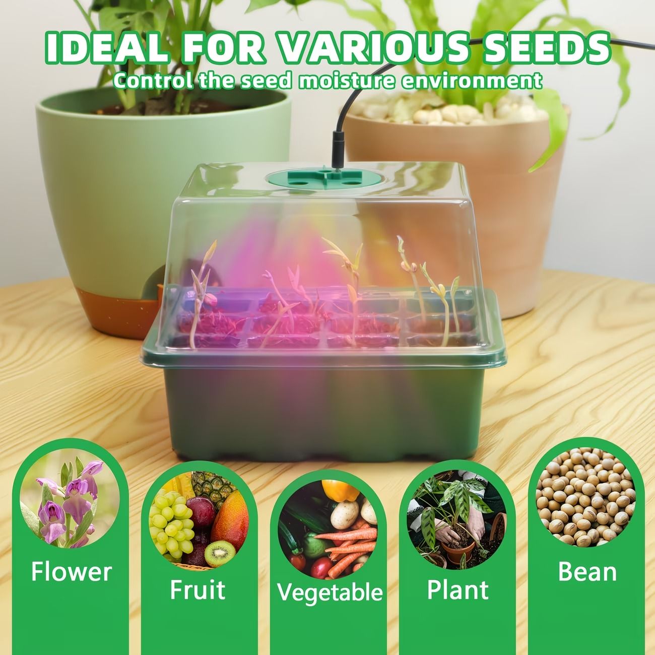 Seed Starter Kit for Effortless Indoor Plant Growth - variant view 4